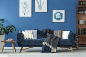 sofa-in-living-room
