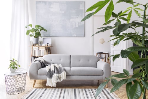 Modern scandianvian living room interior with design sofa, elega
